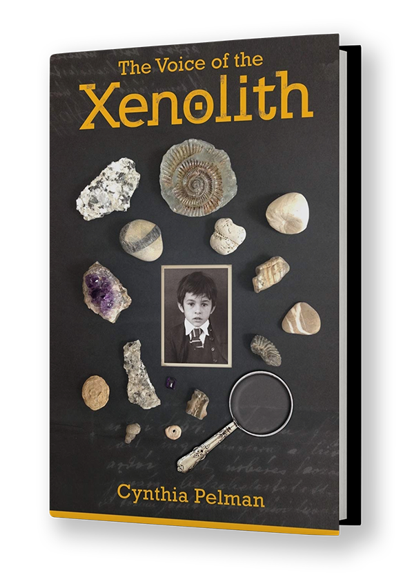 The Voice of the Zenolith